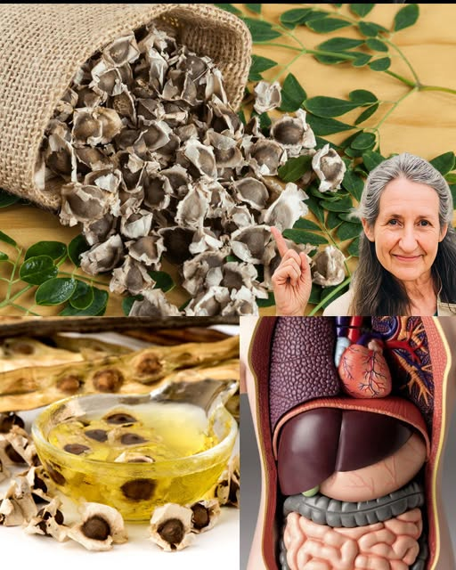 The Power of Moringa Seeds: 25 Benefits and How To Use Them At Home