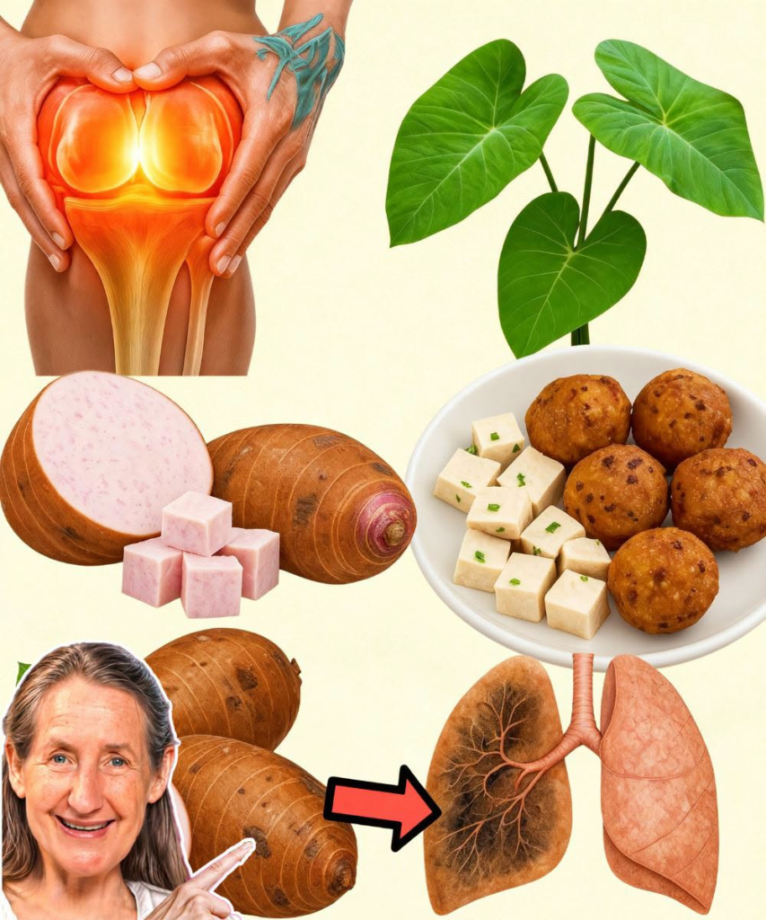 Taro Root: The Ancient Superfood Transforming Health and Sustainability