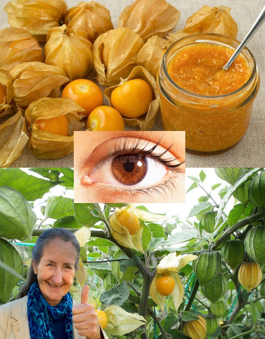What Are the Benefits of Physalis (Uchúva)? A Hidden Superfruit You Shouldn’t Ignore