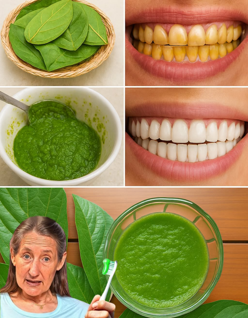 Top 3 Ways to Treat Tooth Decay with Guava Leaves: Simple and Cost-Effective