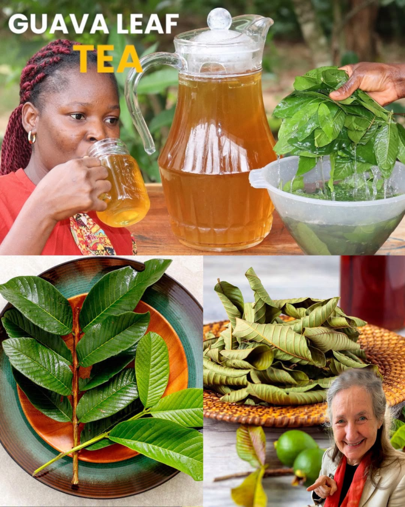 10 Everyday Ways to Use Guava Leaves in Your Home