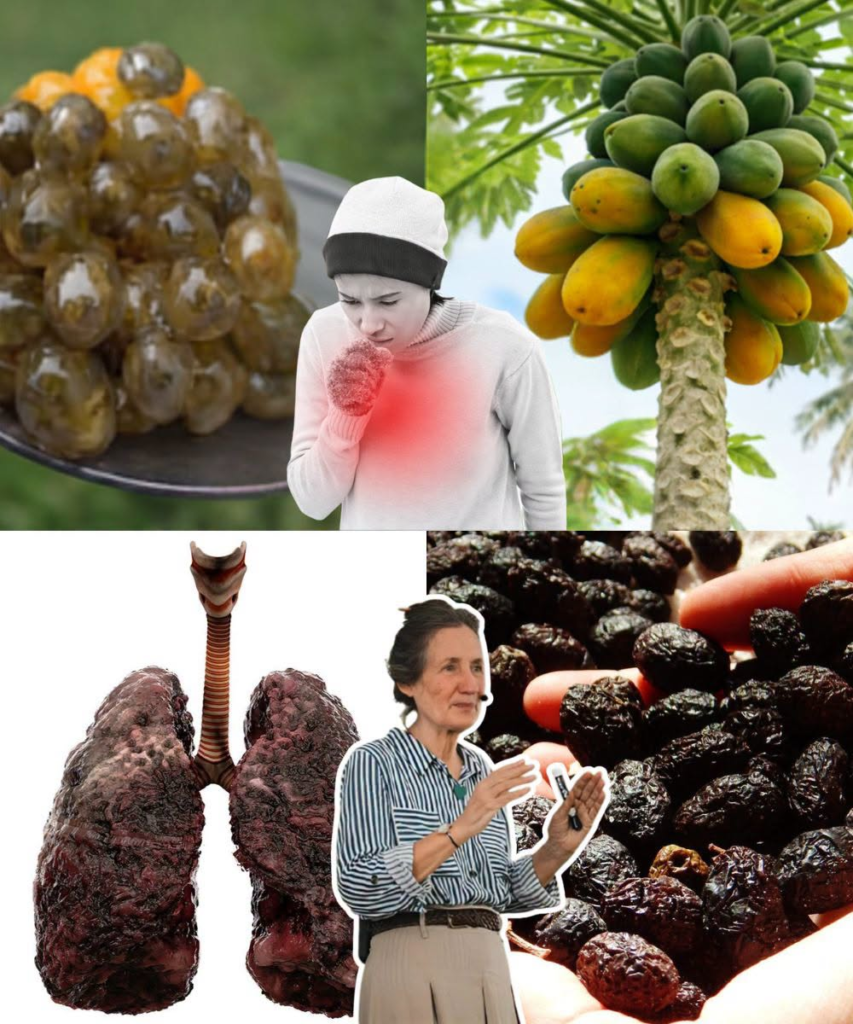 Everyone Loves Papaya – But You’ll Wish You Knew This About the Seeds Sooner