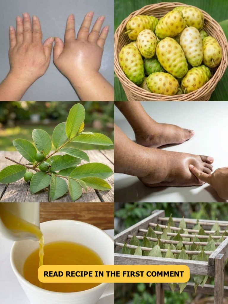 The Ancient Leaf Remedy to Calm Swelling & Water Retention – Now Backed by Science