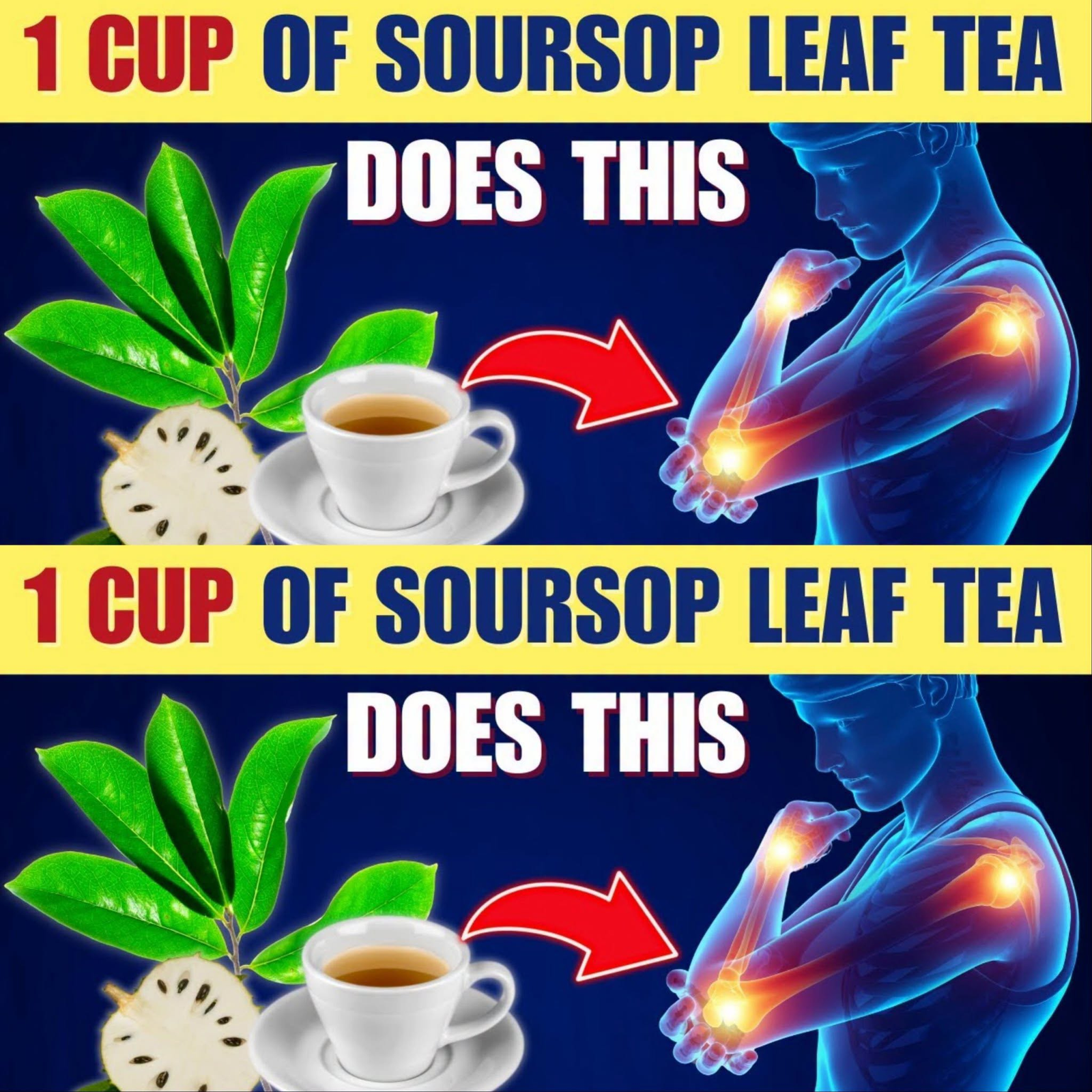 13 Powerful Benefits of Soursop Leaf Tea | The Tropical Herbal Tradition Worth Knowing
