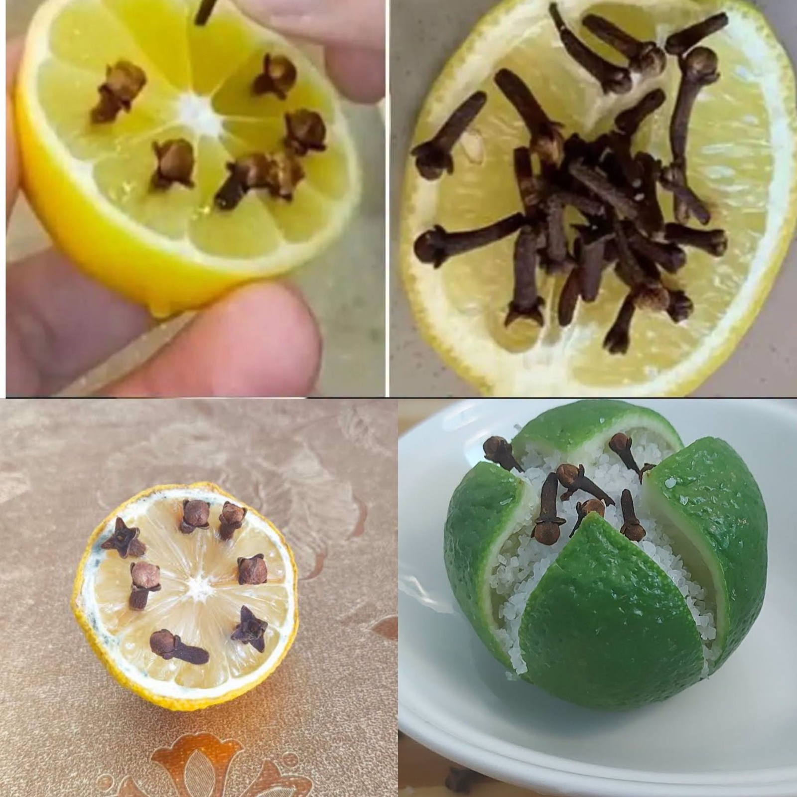 If you have 1 lemon in your house: it could save your life