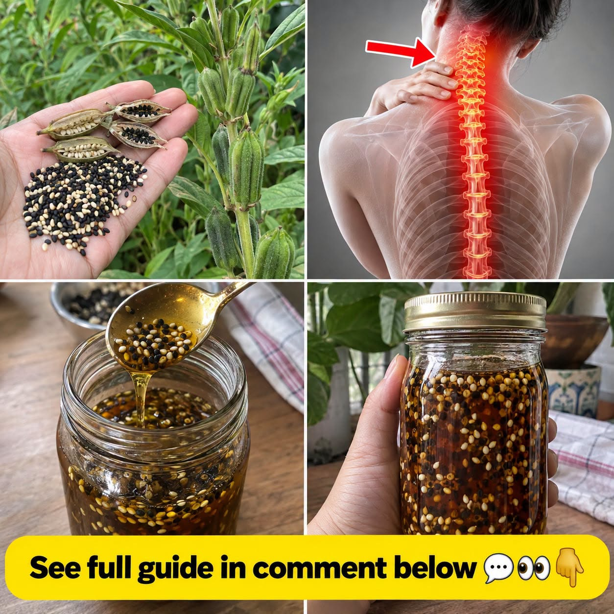 Soaked Sesame Seeds: How They Support Joint Health, Bone Strength, and Hormone Balance