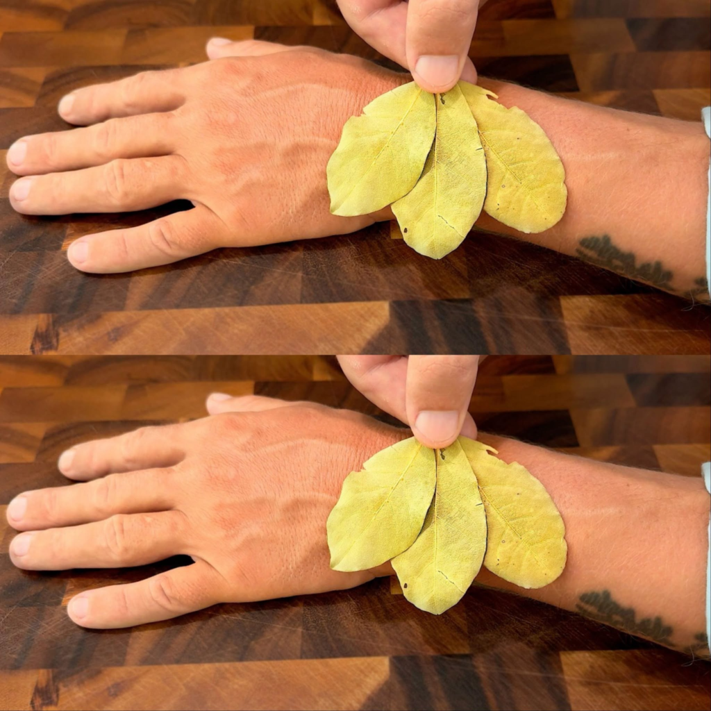 A plant that heals everything! Eyesight, kidneys, intestines, heart, bones – restored to like new.