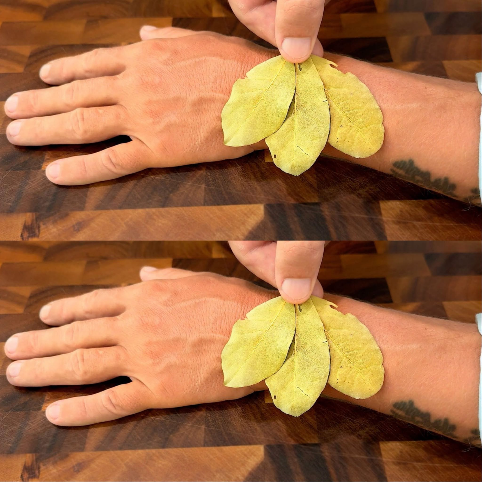 A plant that heals everything! Eyesight, kidneys, intestines, heart, bones – restored to like new.