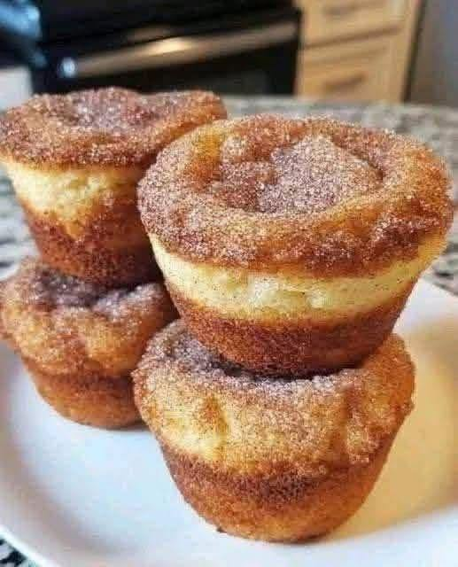 Cinnamon Sugar Muffin Bites