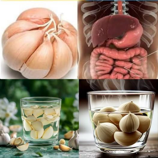 Garlic, Ginger, Onion, Lemon, and Honey: One Daily Teaspoon of This Powerful Mix Will Amaze You