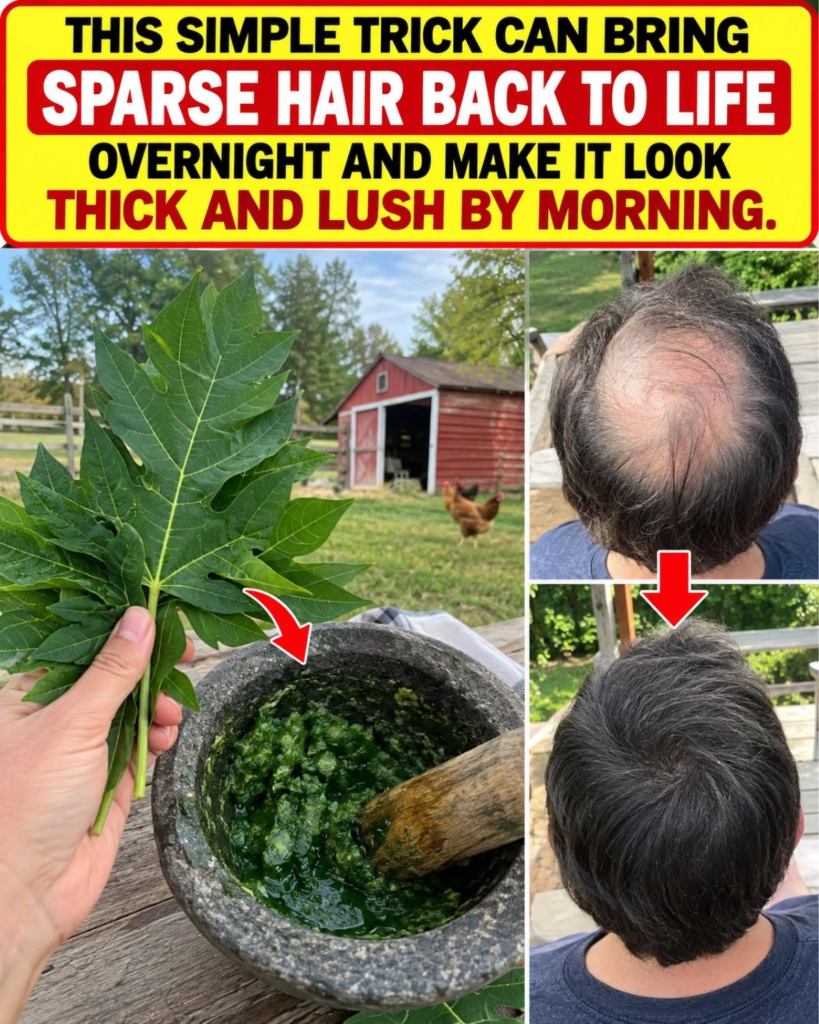Papaya Leaves Force a Scalp Flush That Can Wake Dormant Hair