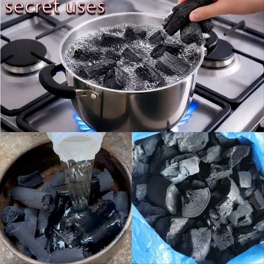Boil Charcoal and Make Money! You Won’t Believe the Result