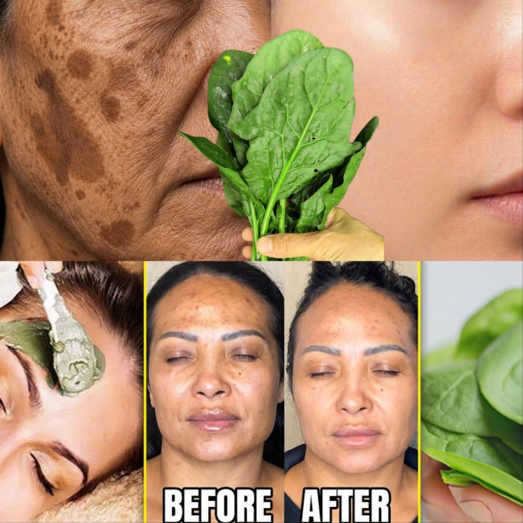 You’ll Be Amazed by the Results! Plantago Major — Grandma’s Forgotten Skin Herb for Blemishes & Smoother-Looking Skin