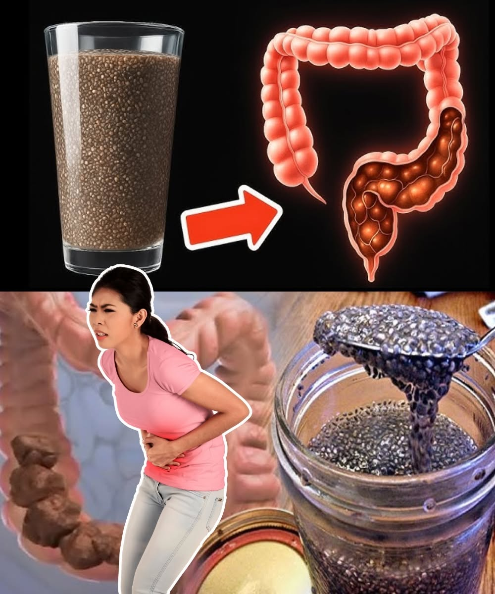 All Diseases Begin in the Gut (Here’s How You Can Heal It)