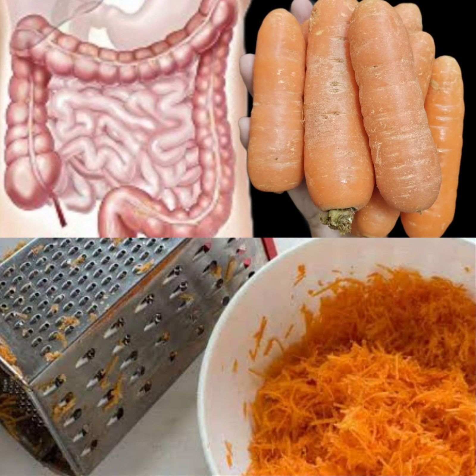 Intestines and Liver Will Feel Like New! The 3-Day Carrot Recipe for a Lighter, Happier Gut