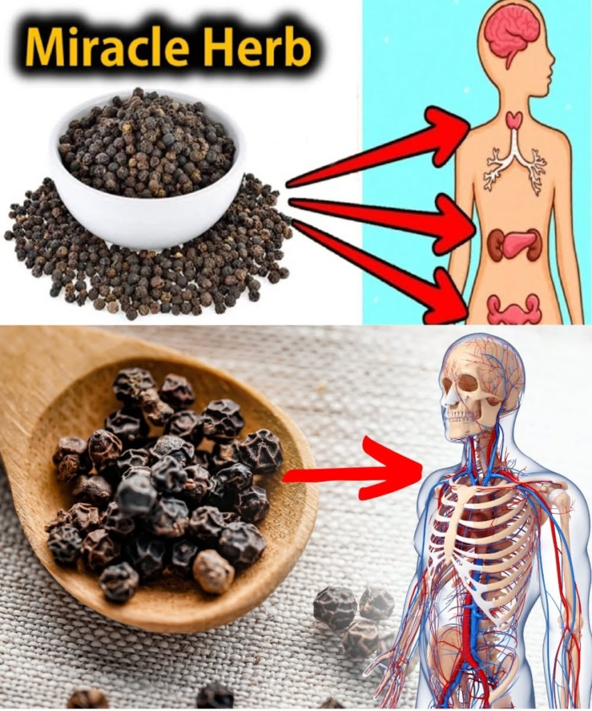 9 Powerful Health Benefits of Chewing Black Pepper Before Bed (90% of People Don’t Know This!)