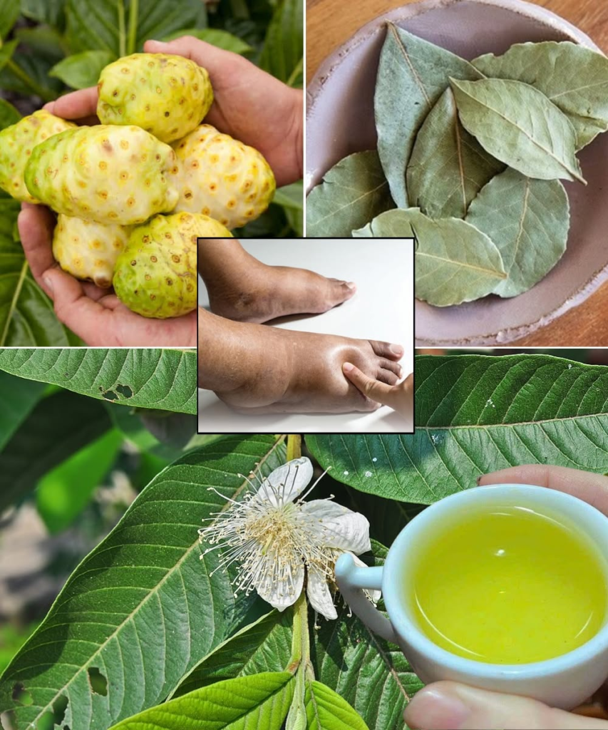 The Ultimate Healing Tonic: A Powerful Drink to Combat Swollen Feet, Diabetes, and Poor Circulation