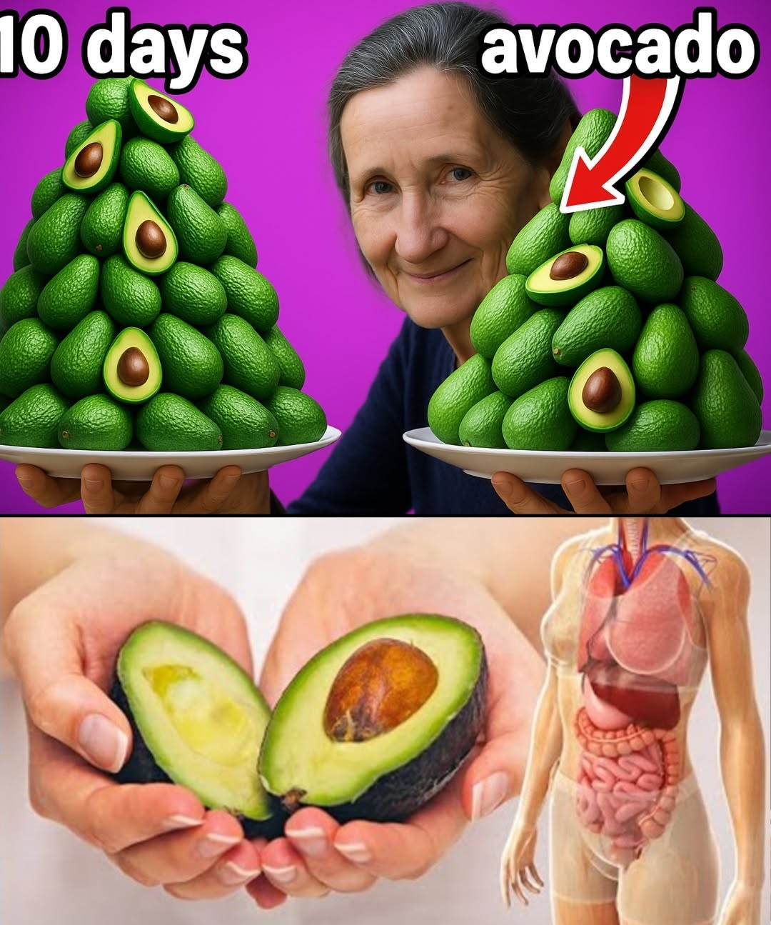 Avocados: Nature’s Creamy Secret for Blood Sugar, Heart Health & More