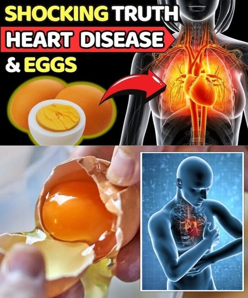 Are Eggs Bad for Your Heart? The Truth Might Surprise You