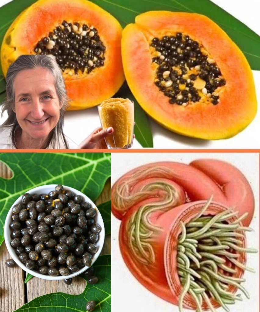 Papaya Seeds: The Overlooked Superfood with Incredible Health Benefits