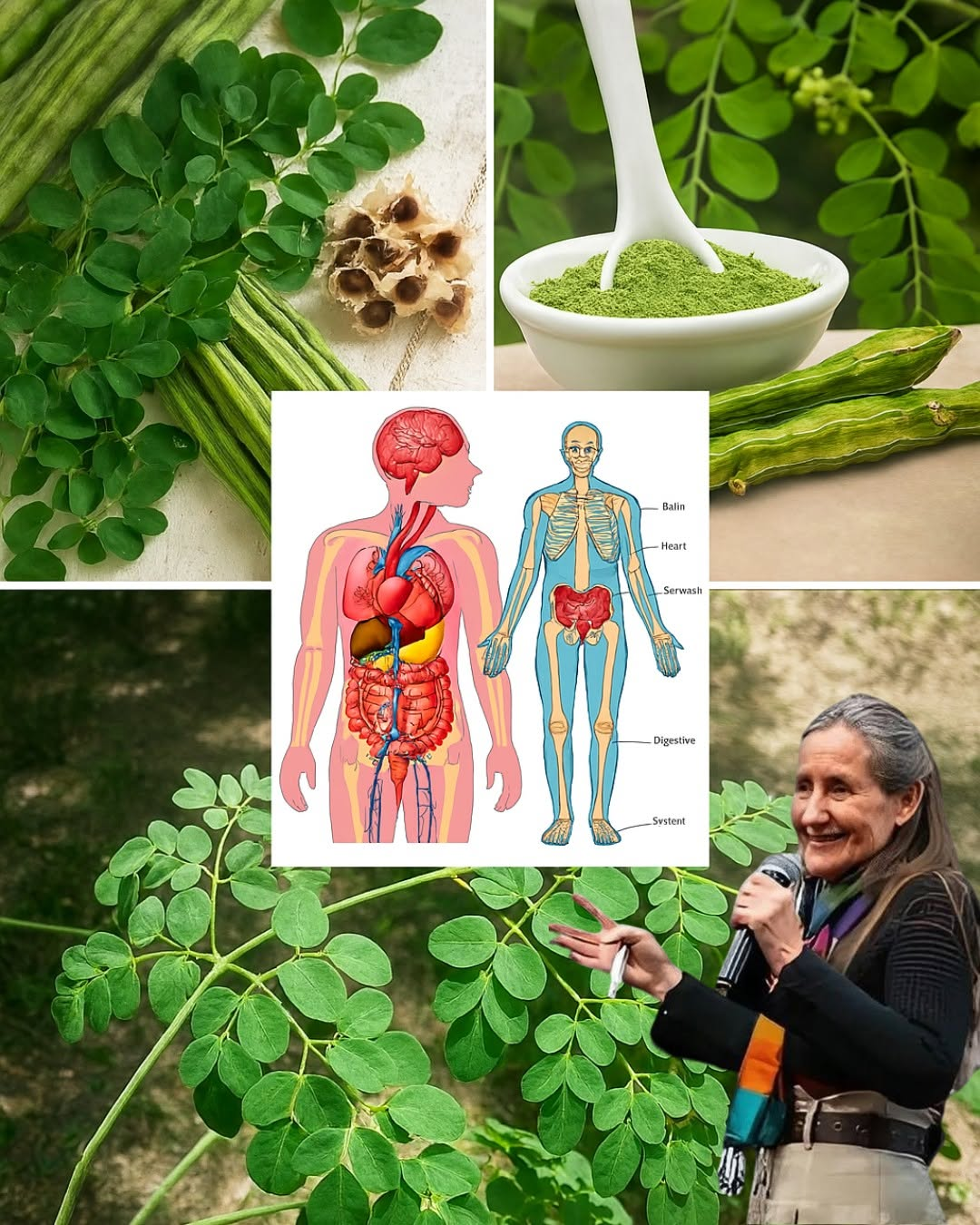 Moringa Unveiled: 15 Miraculous Health Benefits of the Miracle Tree You Need to Know