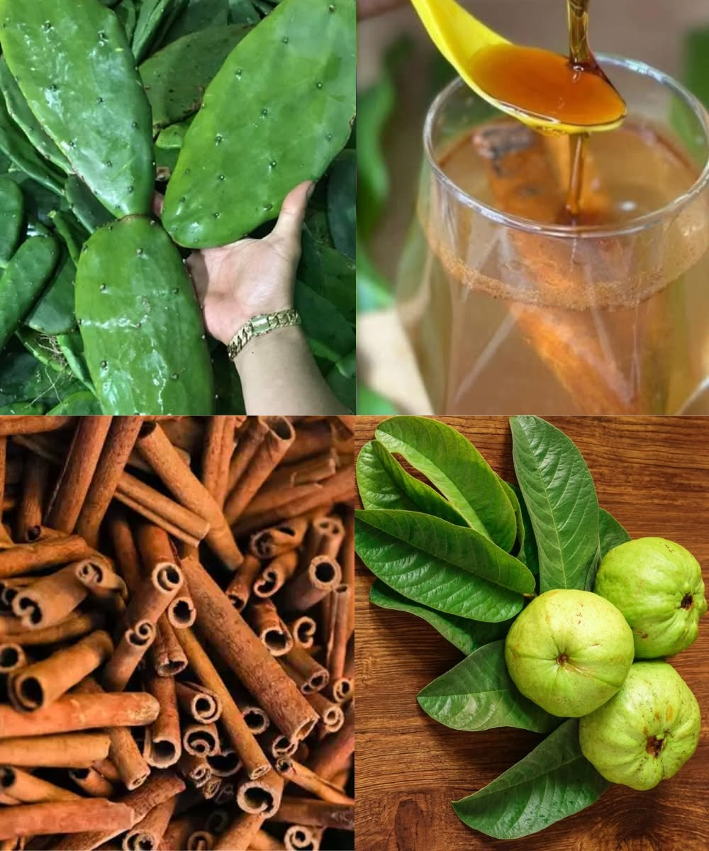 Doctor Frank Suárez Revealed: These Leaves Can Eliminate Poor Circulation, Diabetes, Fatty Liver, and Knee Pain Without Pills
