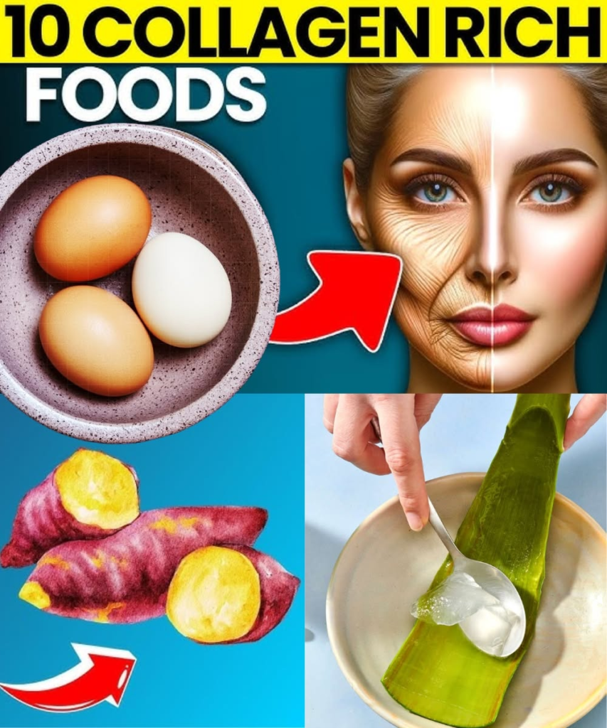 Top 10 Foods Rich in Collagen and Anti-Aging Booster