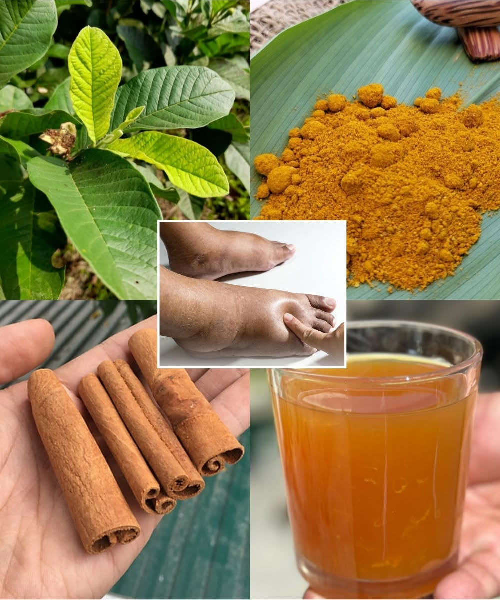 Drink This Every Day – It Could Wipe Out Cancer, Fatty Liver, and Diabetes Without Medication!