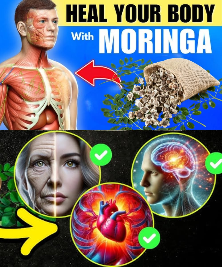 12 Life-Changing Benefits of Moringa Seeds You Might Not Know