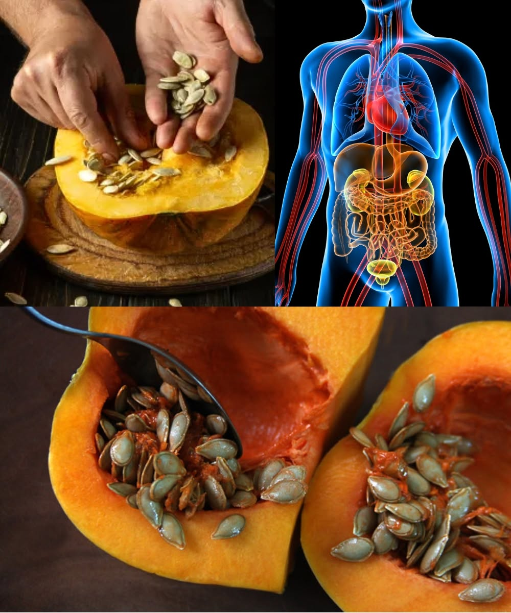 Pumpkin Seeds: Properties, Benefits, and Recipes for Prostate Health