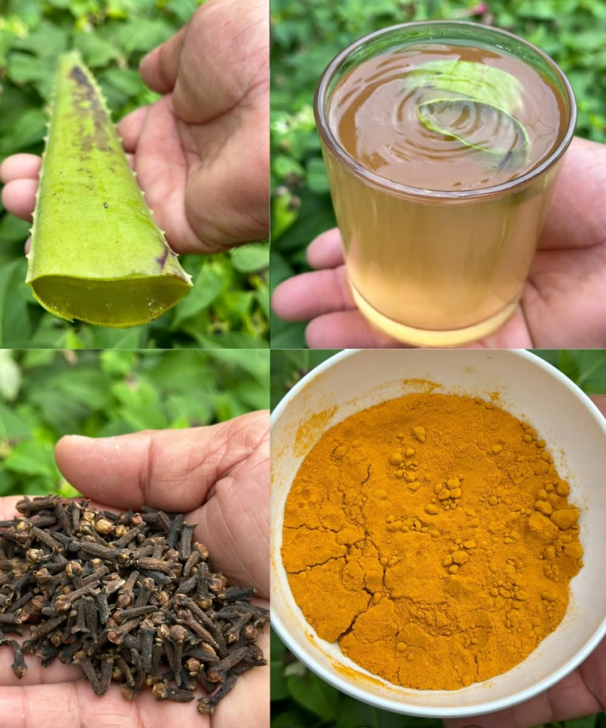 The Natural Remedy Left Behind by Dr. Frank Suárez That Fights Cancer, Diabetes, High Blood Pressure, and Poor Circulation