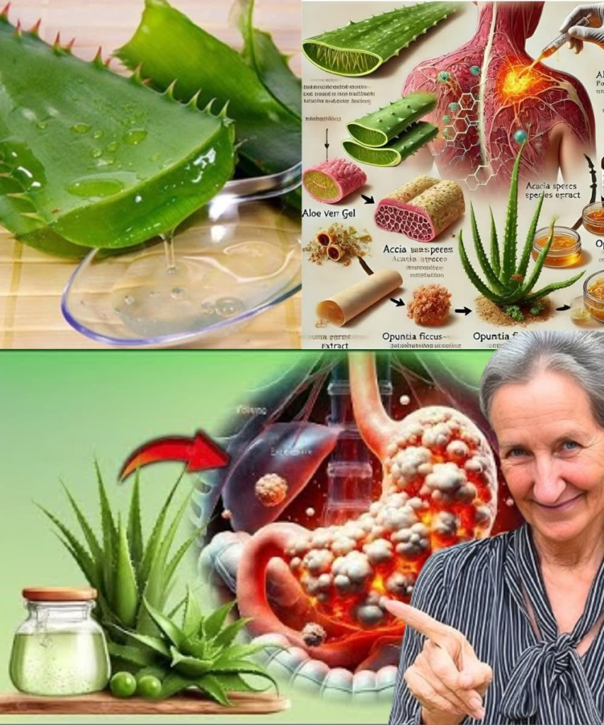 15 Amazing Benefits of Drinking Aloe Vera Water Daily + Easy Recipe