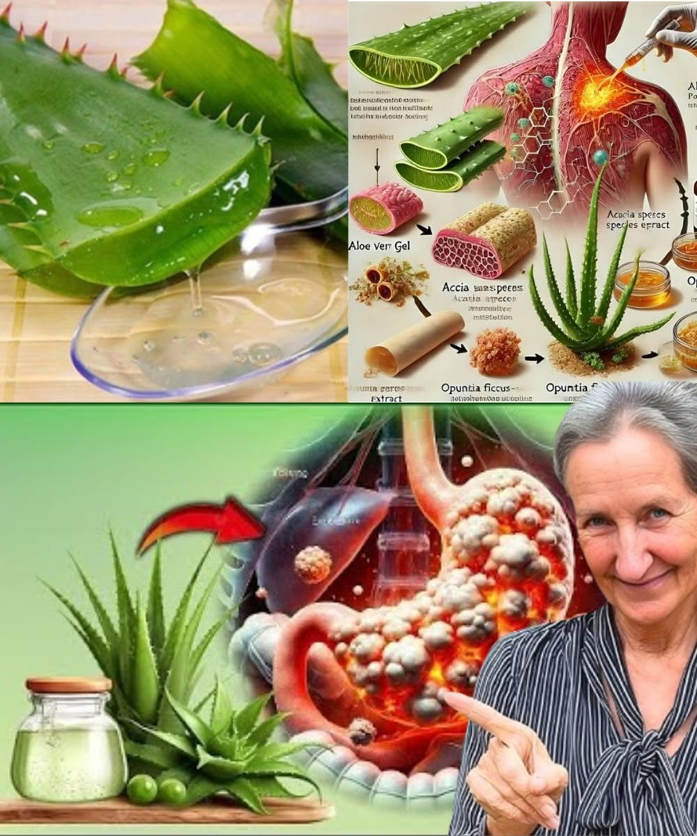 15 Amazing Benefits of Drinking Aloe Vera Water Daily + Easy Recipe
