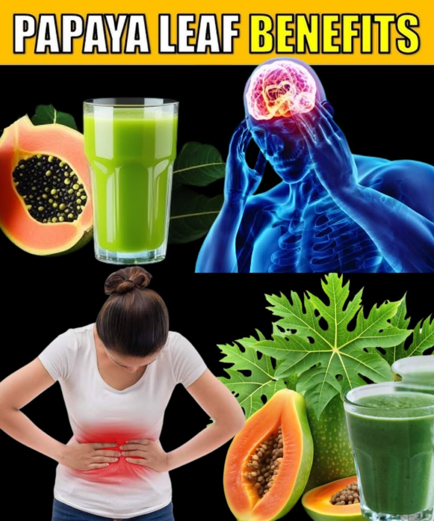 11 Surprising Benefits of Papaya Leaves You Need to Know