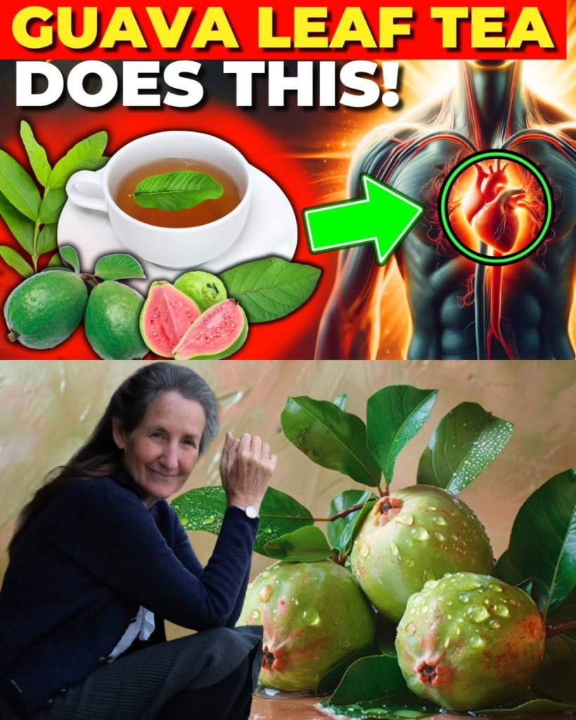 20 Amazing Benefits of Guava Leaves You Wish You Knew Sooner