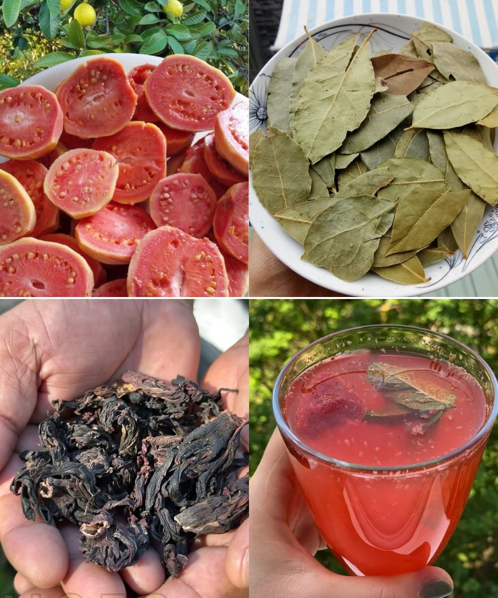 Guava, Hibiscus & Bay Leaf Drink