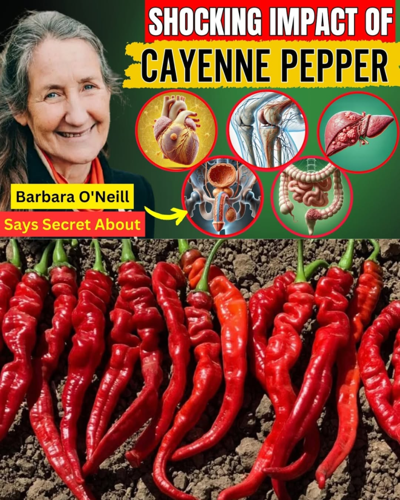 When You Eat Cayenne Pepper Every Day, Here’s What Happens to Your Body (Is It BAD?)