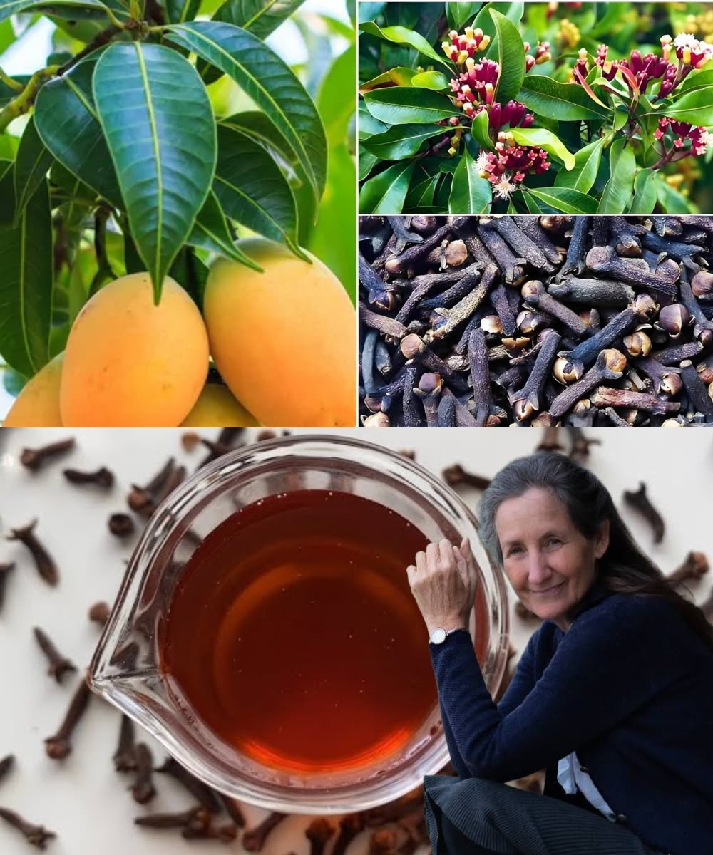 How to make mango leaf tea with cloves