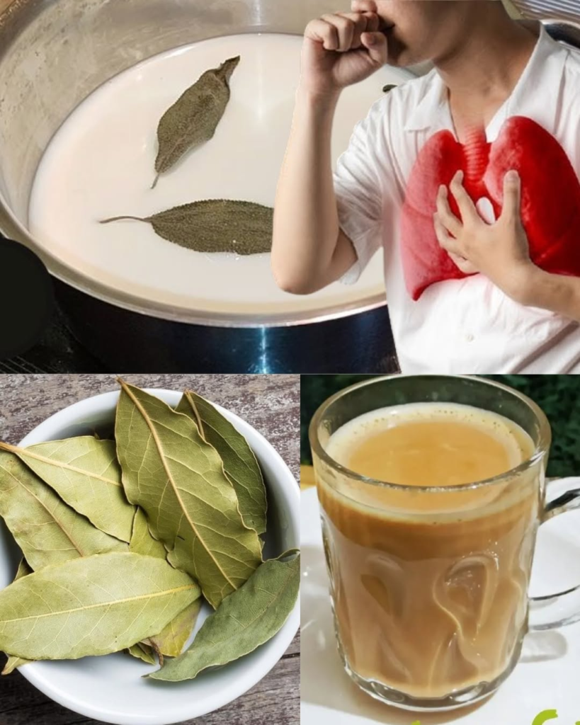 Say Goodbye to Cough: The Power of Bay Leaf Milk Before Bed