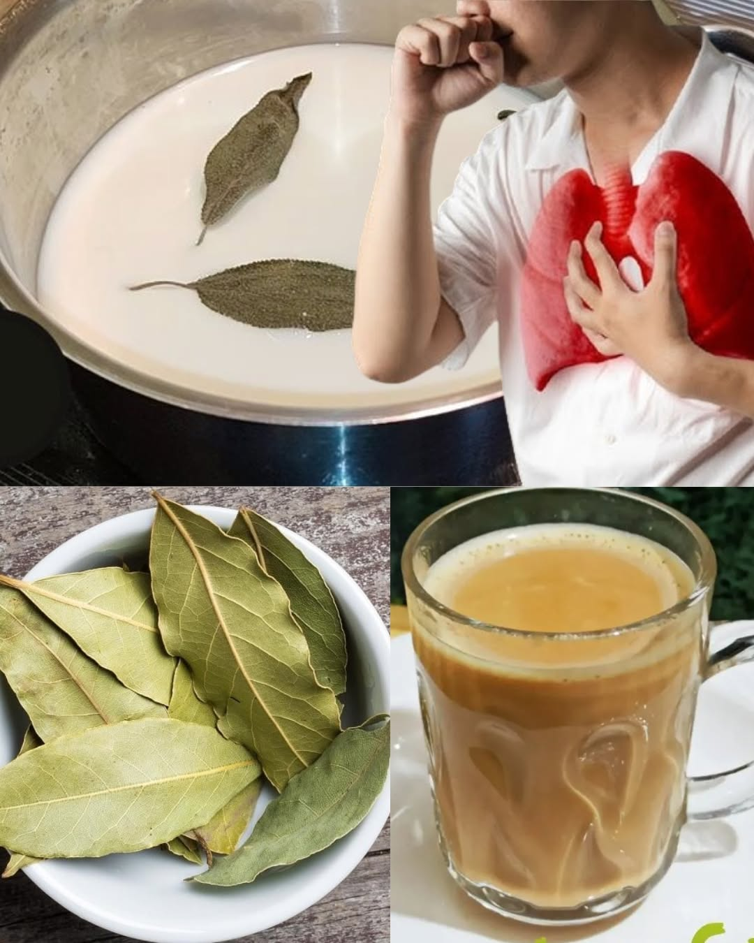 Say Goodbye to Cough: The Power of Bay Leaf Milk Before Bed