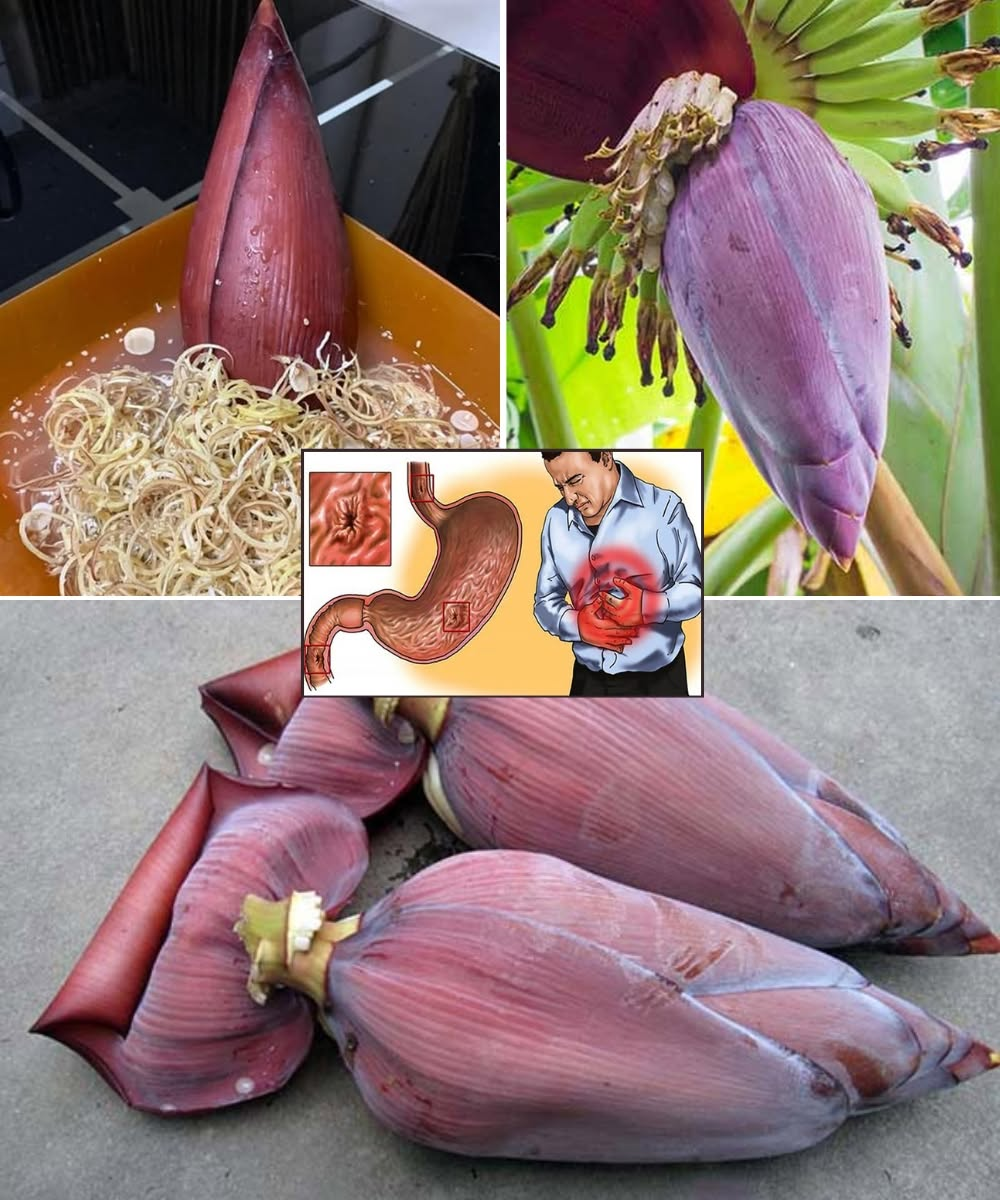 Banana Blossom: The Floral Superfood You’re Not Eating (Yet!)