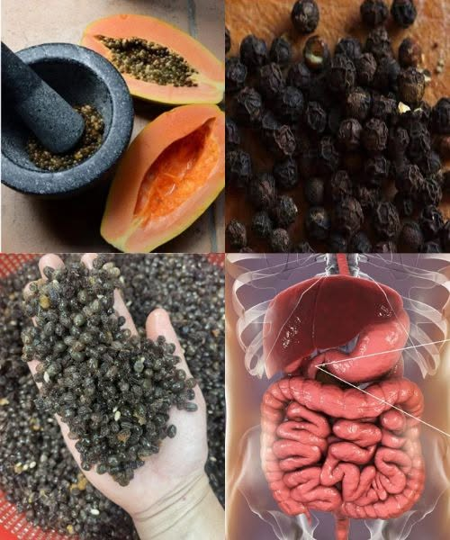 Papaya Seeds: The Overlooked Superfood You Shouldn’t Throw Away