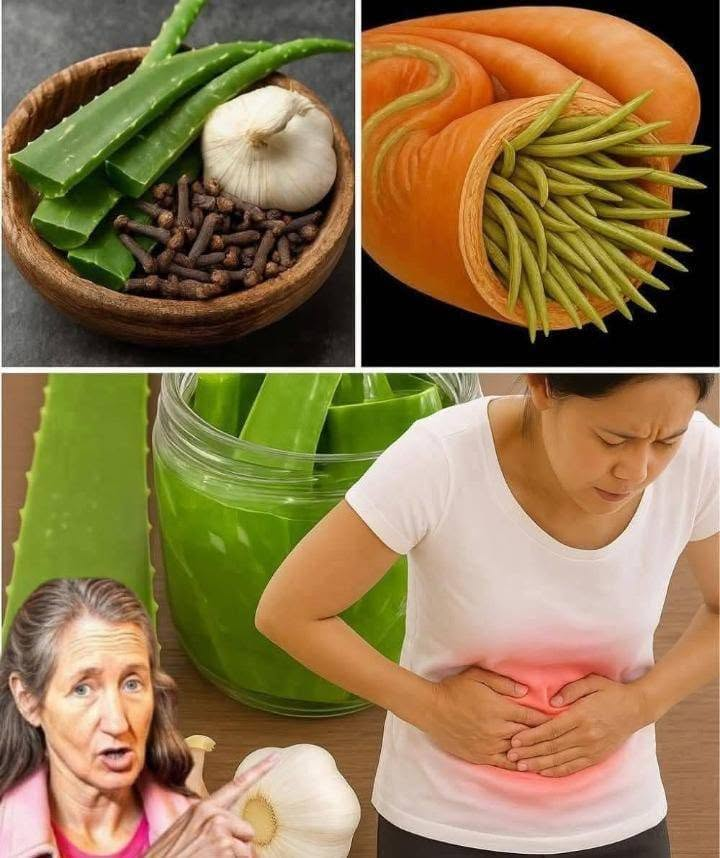 Aloe Vera, Cloves & Garlic: A Gentle Natural Trio for Gut Health