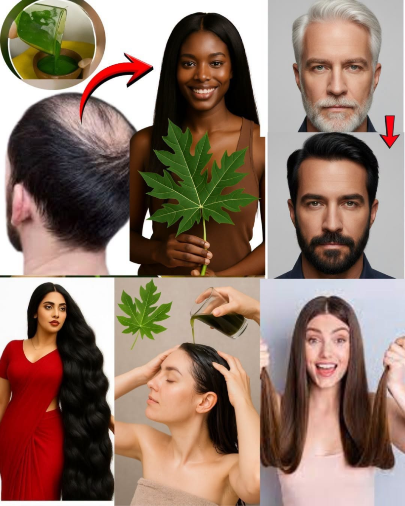 Papaya Leaf Juice for Hair Growth: A Gentle, Natural Approach
