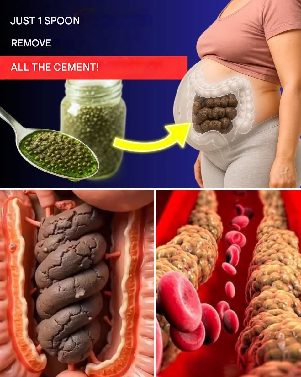 Japan’s Oldest Doctor Reveals: The One Simple Cup to Gently Support Your Digestive Health