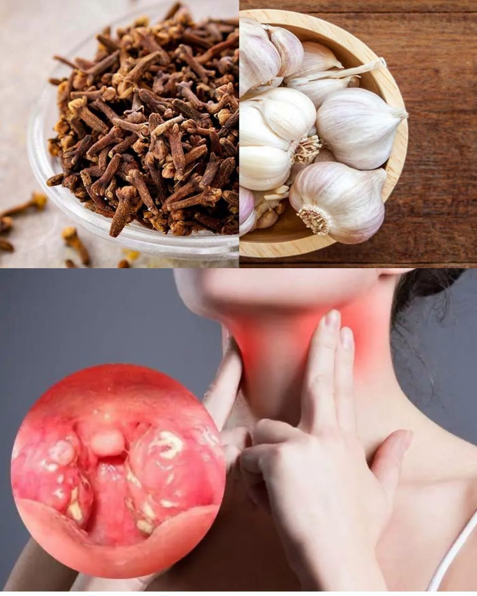 Garlic, Honey & Cloves: The Ancient Trio That Elevates Your Daily Wellness