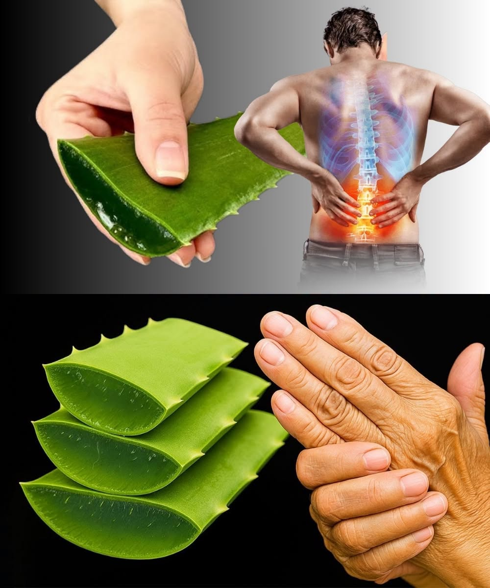 Apply This to Your Joints and Bones: The Aloe Vera Miracle | Smart Natural Trick