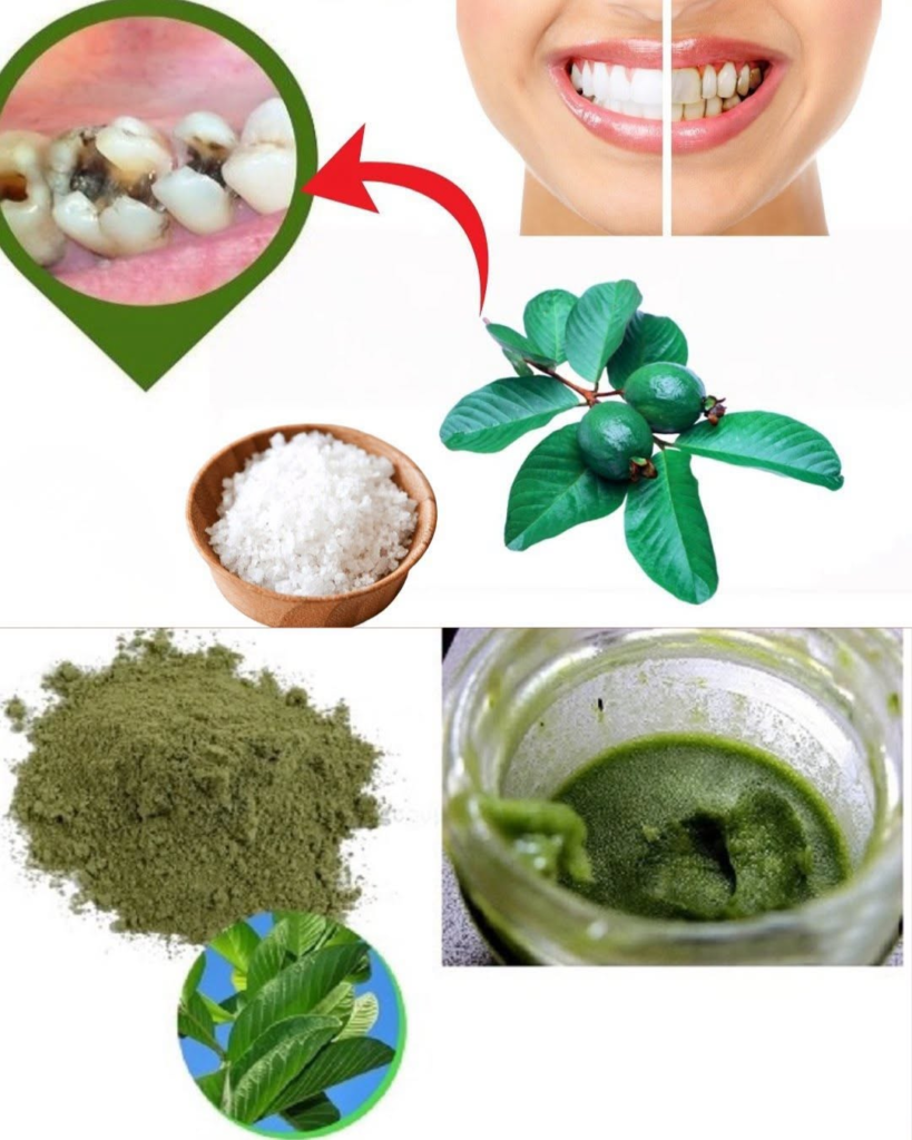 3 Simple and Affordable Ways to Support Oral Health Naturally with Guava Leaves