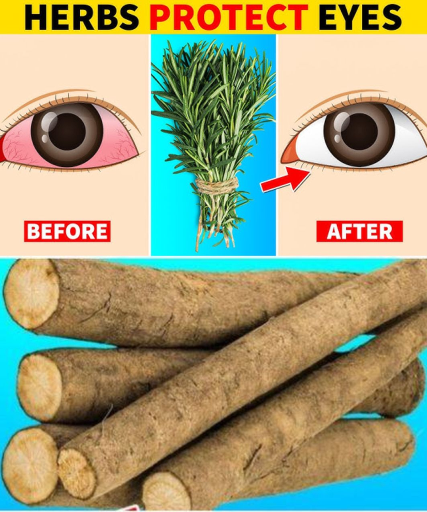8 Powerful Herbs That Protect and Repair Your Vision Naturally